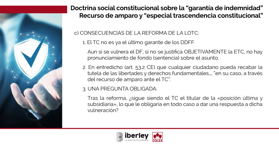 Doctrina social constitucional sobre la garantía de indemnidad